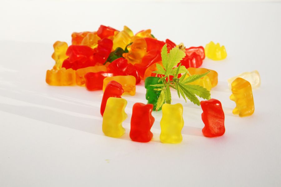 CBD gummies are made by extracting CBD oil from the hemp plant