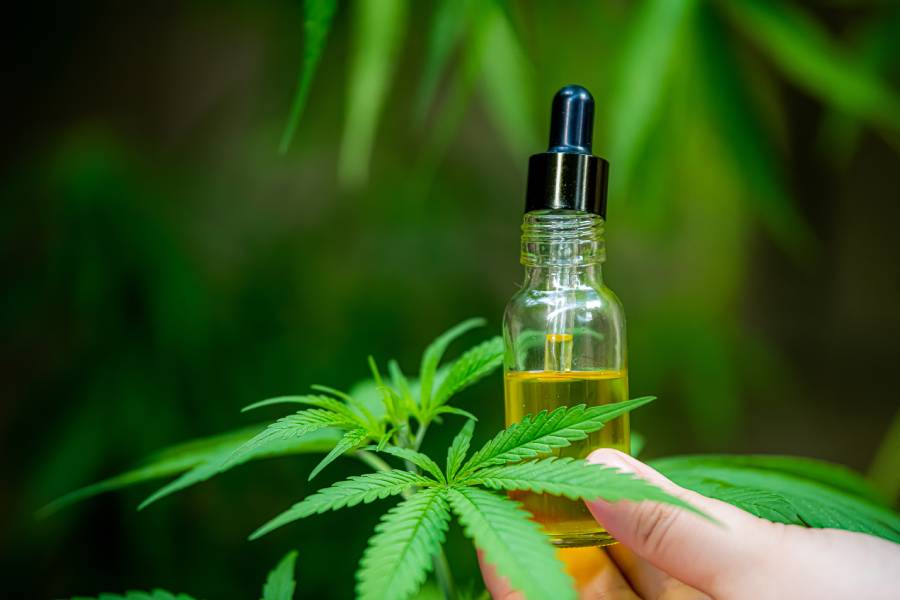Possible Side Effects of Full Spectrum Hemp CBD Oil