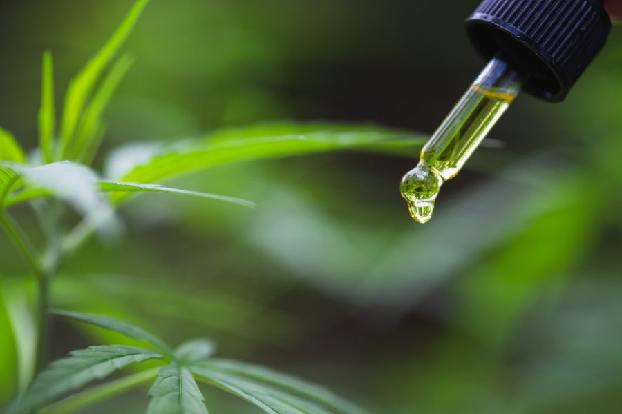 Uncovering How Full Spectrum Hemp CBD Oil Is Made