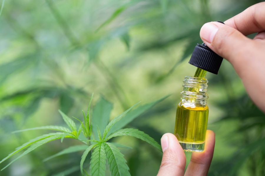 PH-of-the-water-can-also-affect-the-solubility-of-Zilis-CBD