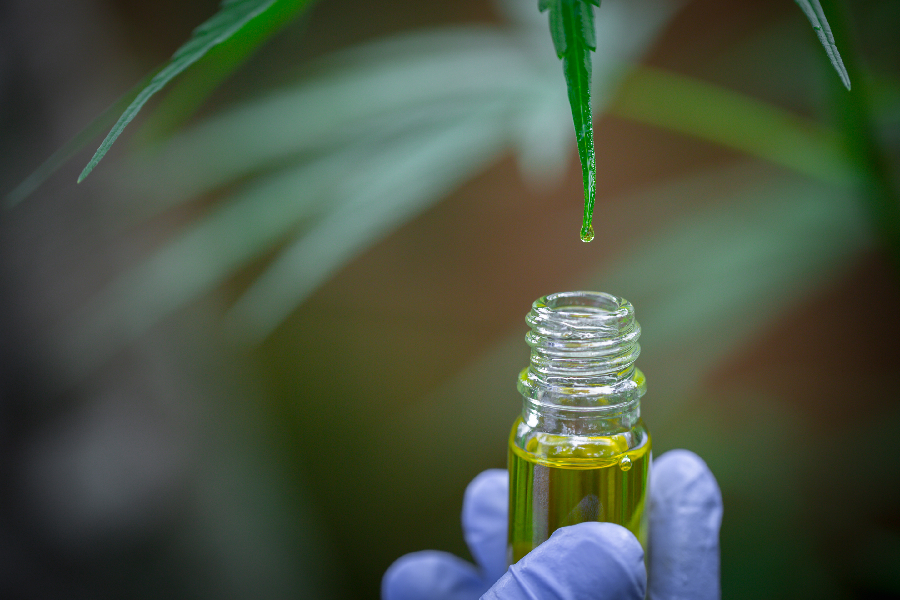 Uncovering-How-Full-Spectrum-Hemp-CBD-Oil-Is-Made