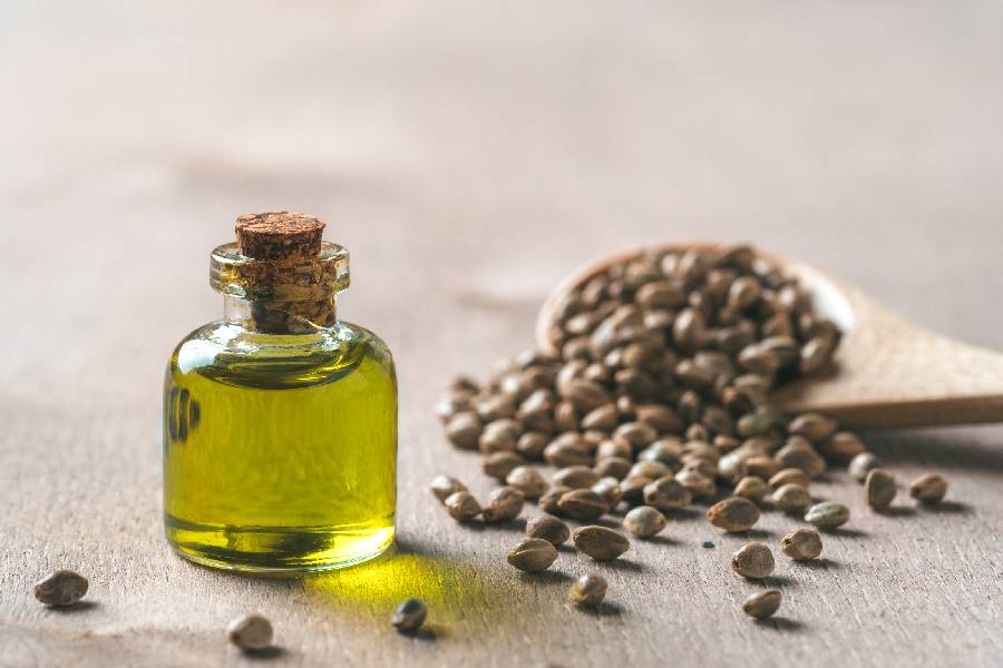 What-Is-Hemp-Seed-Oil