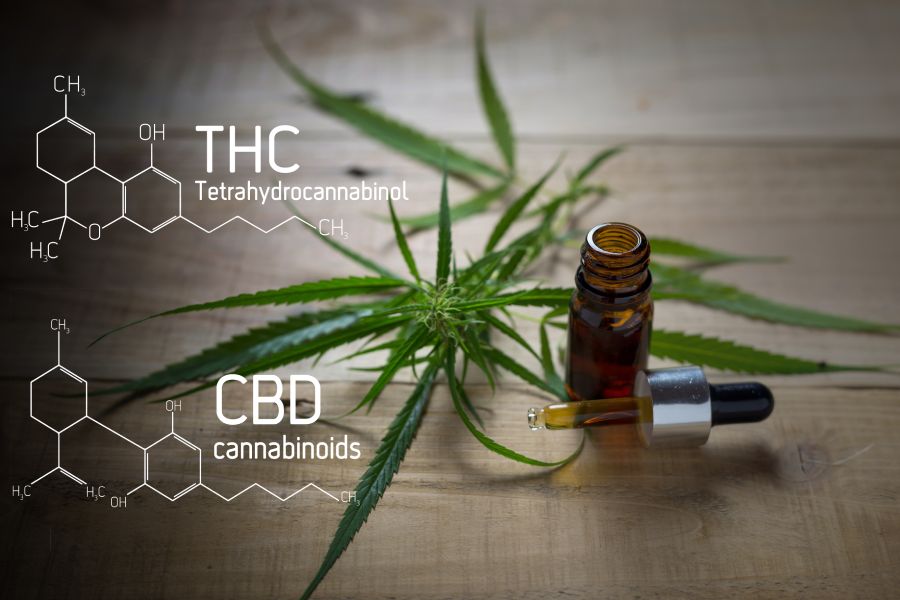 What Is the Difference Between CBD and THC?